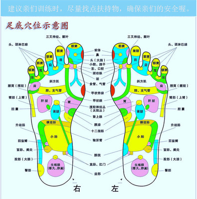 包邮 正品扭腰器 家用健身磁疗扭腰盘 磁疗瘦腰健腰器 - 包邮 正品扭腰器 家用健身磁疗扭腰盘 磁疗瘦腰健腰器厂家 - 包邮 正品扭腰器 家用健身磁疗扭腰盘 磁疗瘦腰健腰器价格 - 深圳欣怡健身器材 - 